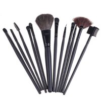 Set 12 pensule pentru machiaj
