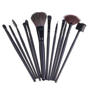 Set 12 pensule pentru machiaj